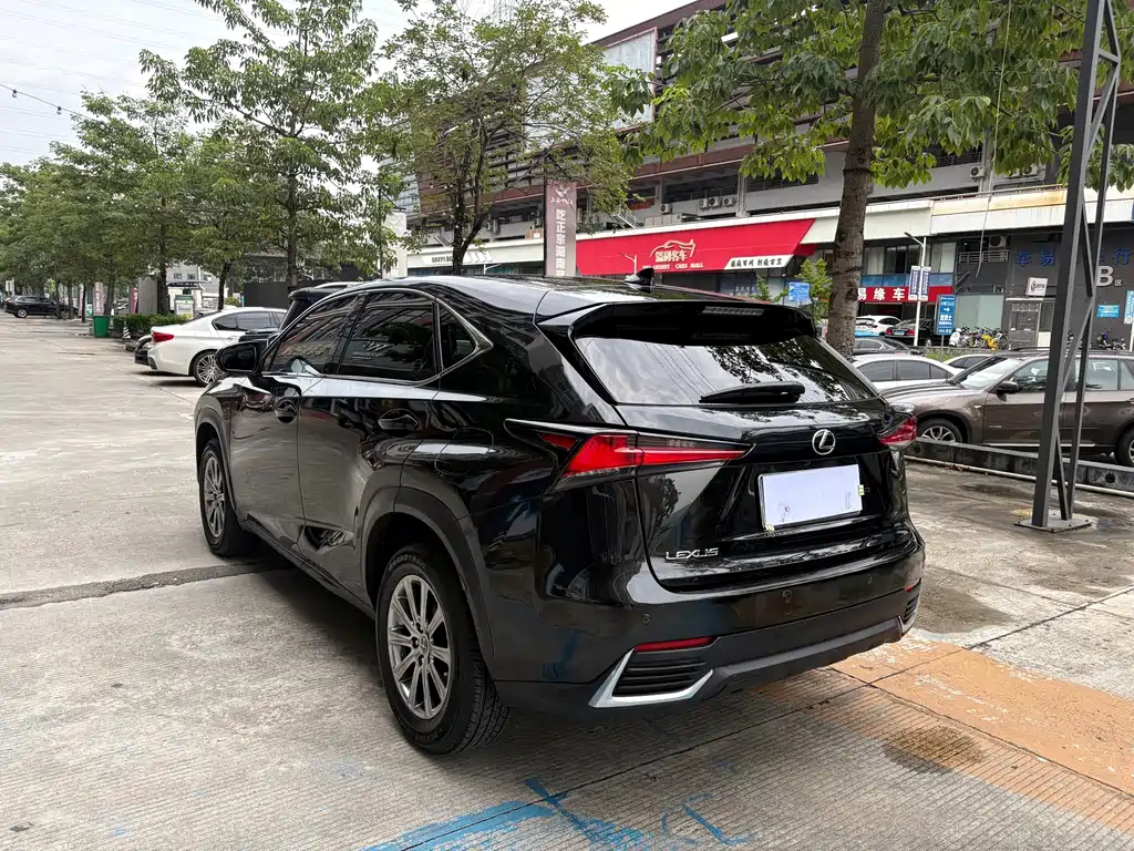 Lexus NX — миниатюра 7