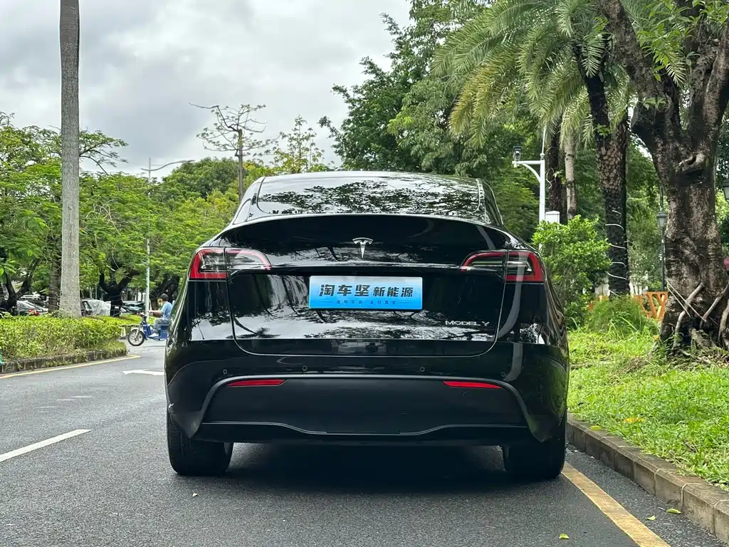Tesla Model Y — миниатюра 5