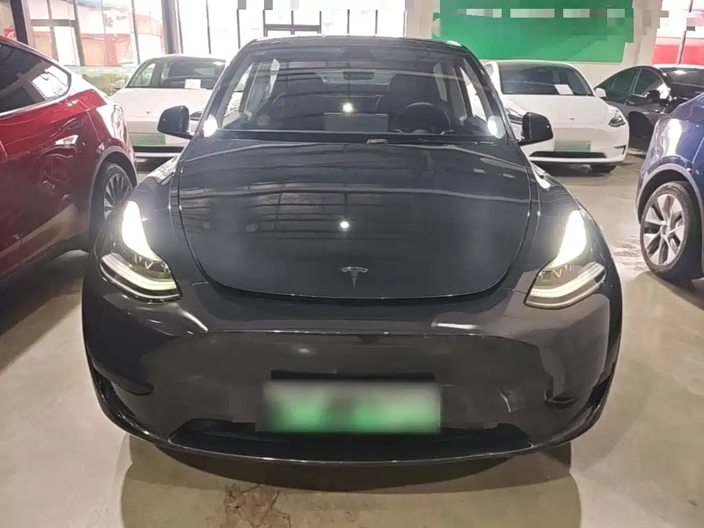 Tesla Model Y — миниатюра 3