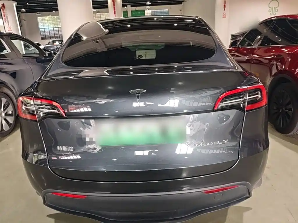 Tesla Model Y — миниатюра 6