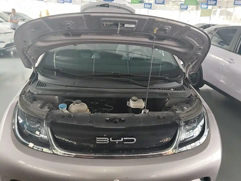 BYD Dolphin — миниатюра 20