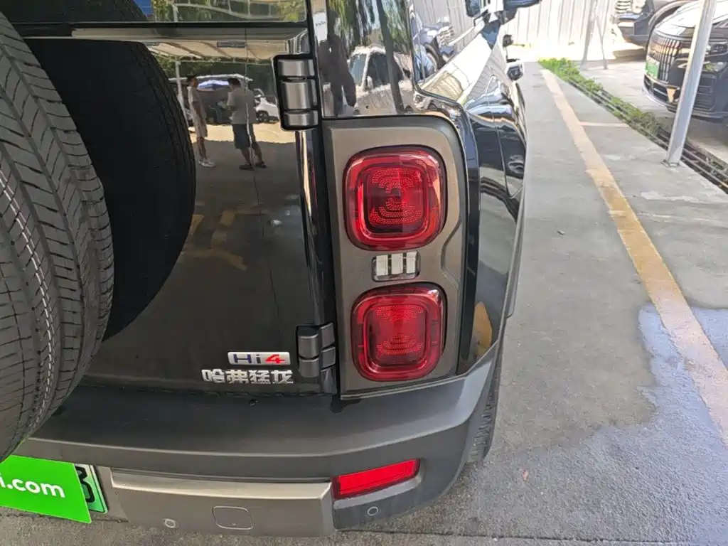 Haval Menglong New Energy — миниатюра 8