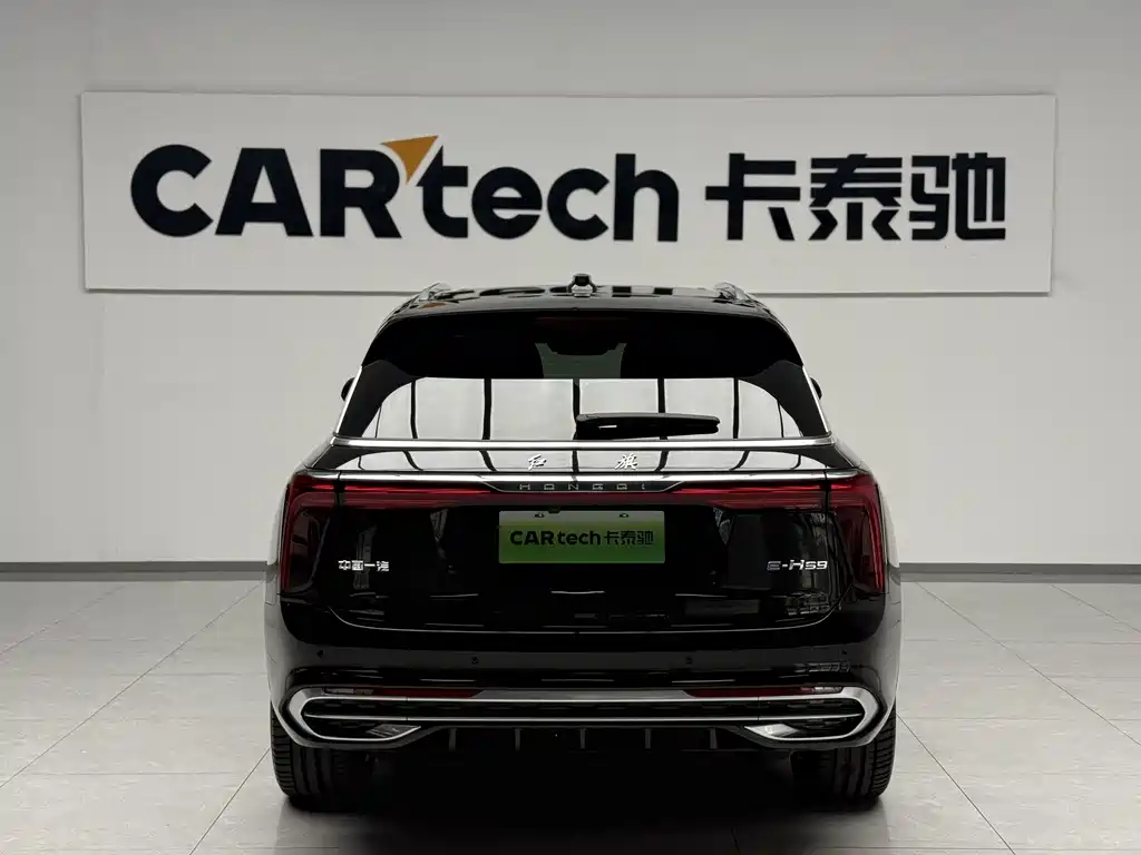 Hongqi Hongqi E-HS9 — миниатюра 2