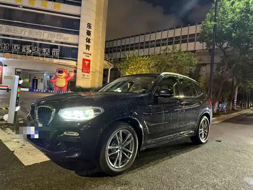 BMW X3 — миниатюра 2