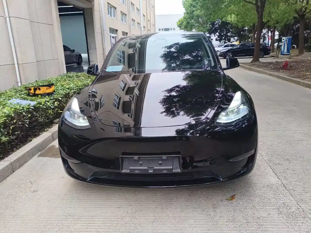 Tesla Model Y — миниатюра 3