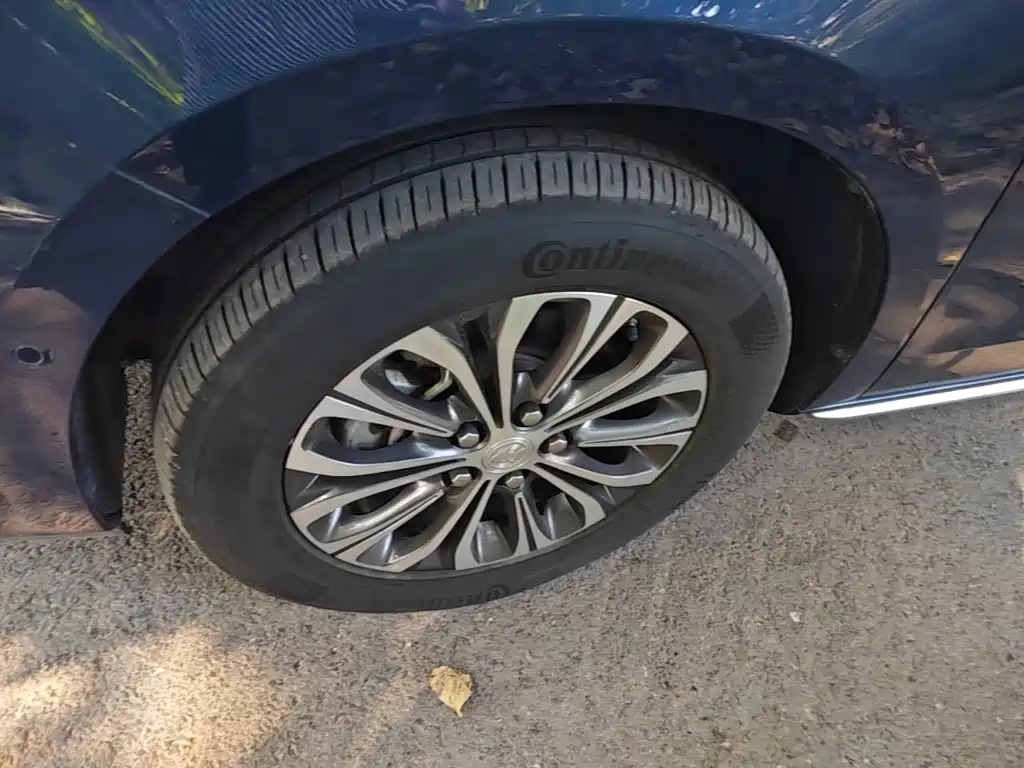 Buick GL8 — миниатюра 23