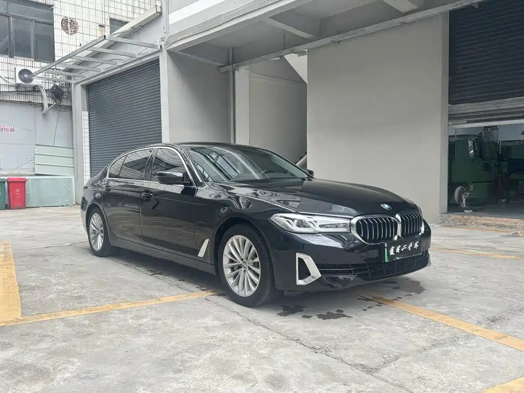 BMW 5 Series New Energy — миниатюра 3