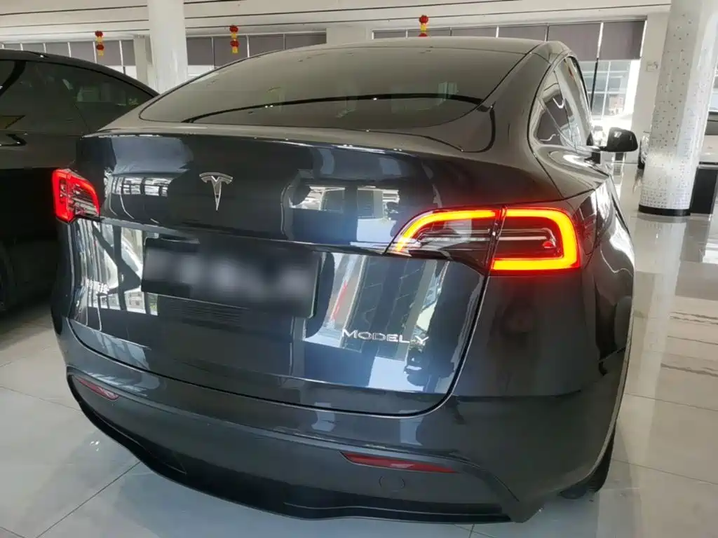 Tesla Model Y — миниатюра 6