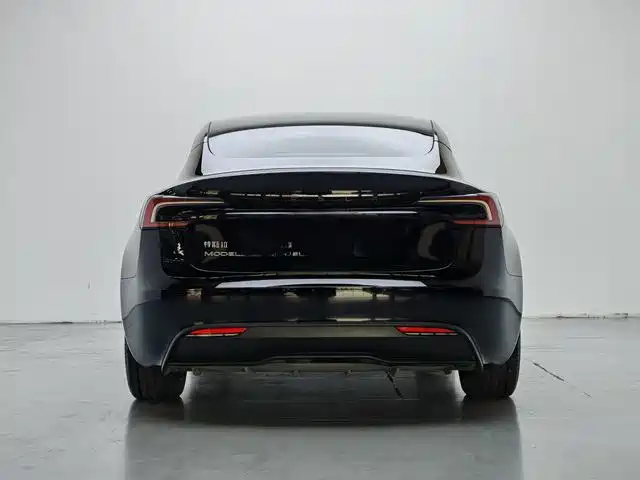 Tesla Model 3 — миниатюра 9