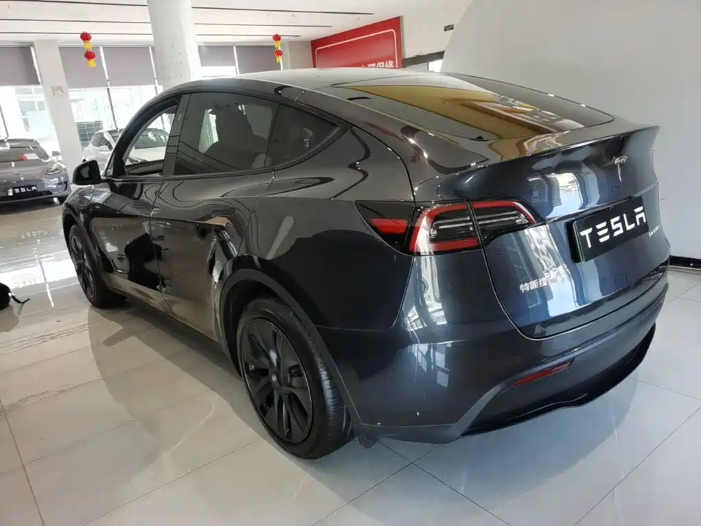 Tesla Model Y — миниатюра 5
