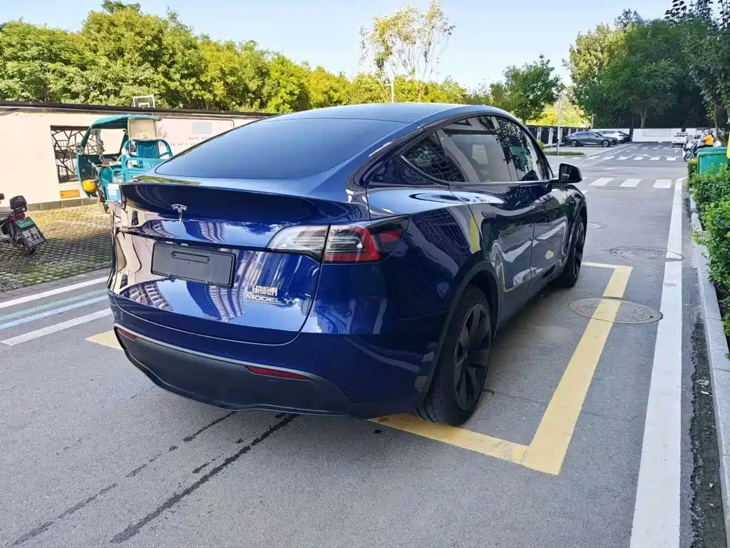 Tesla Model Y — миниатюра 10