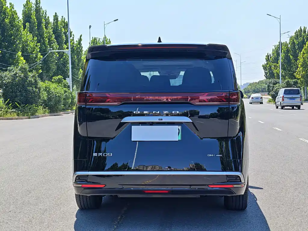 Denza Denza D9 — миниатюра 9