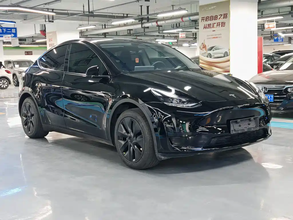 Tesla Model Y — миниатюра 3