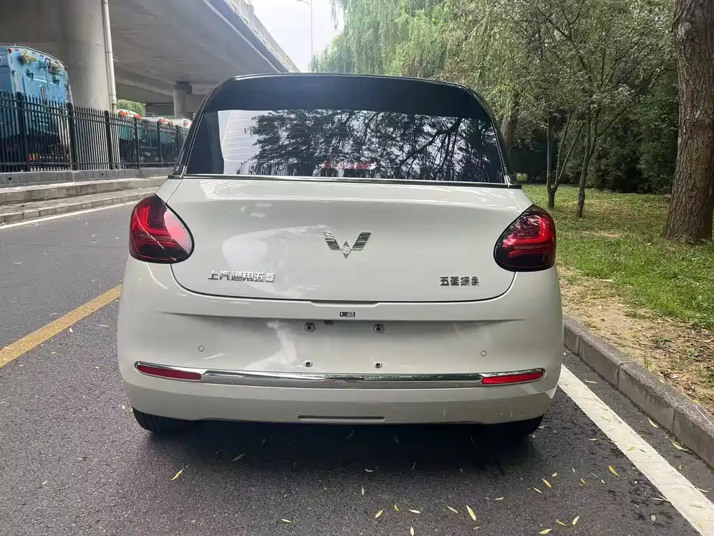 Wuling Binguo 2023 333km +