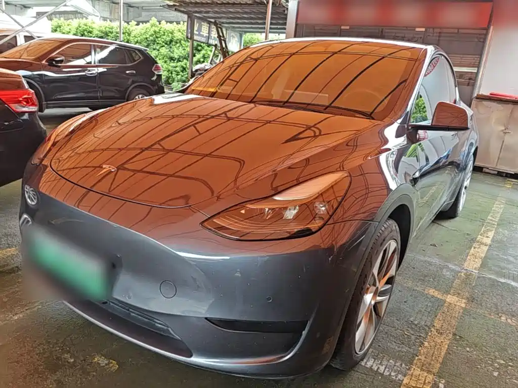 Tesla Model Y — миниатюра 2