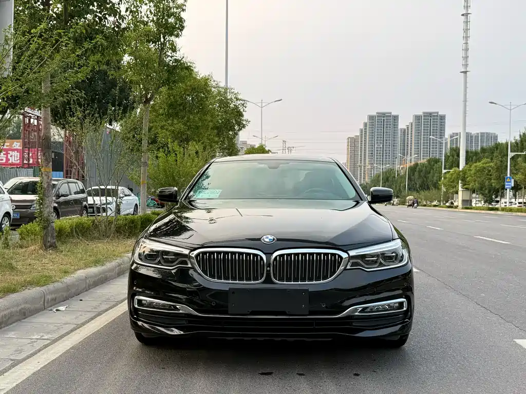 BMW 5 Series 5 2018 530Li Premium Luxury
