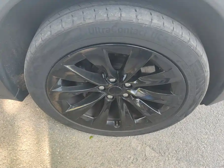 Tesla Model X — миниатюра 6