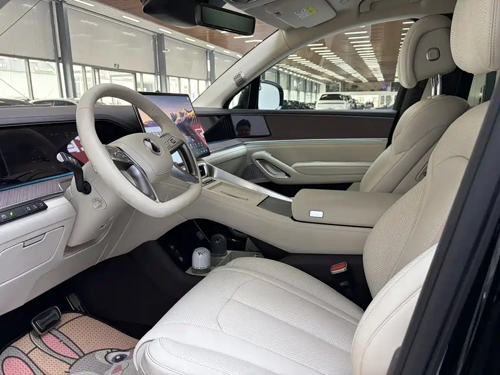 Denza Denza N9 — миниатюра 10