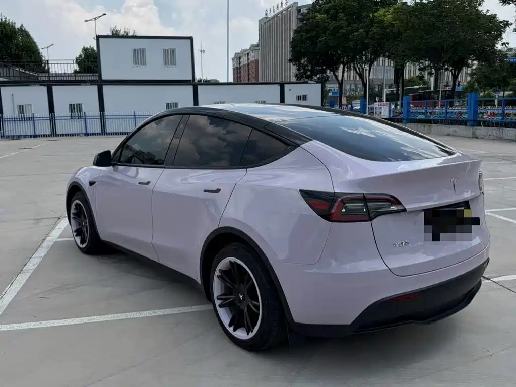 Tesla Model Y — миниатюра 7