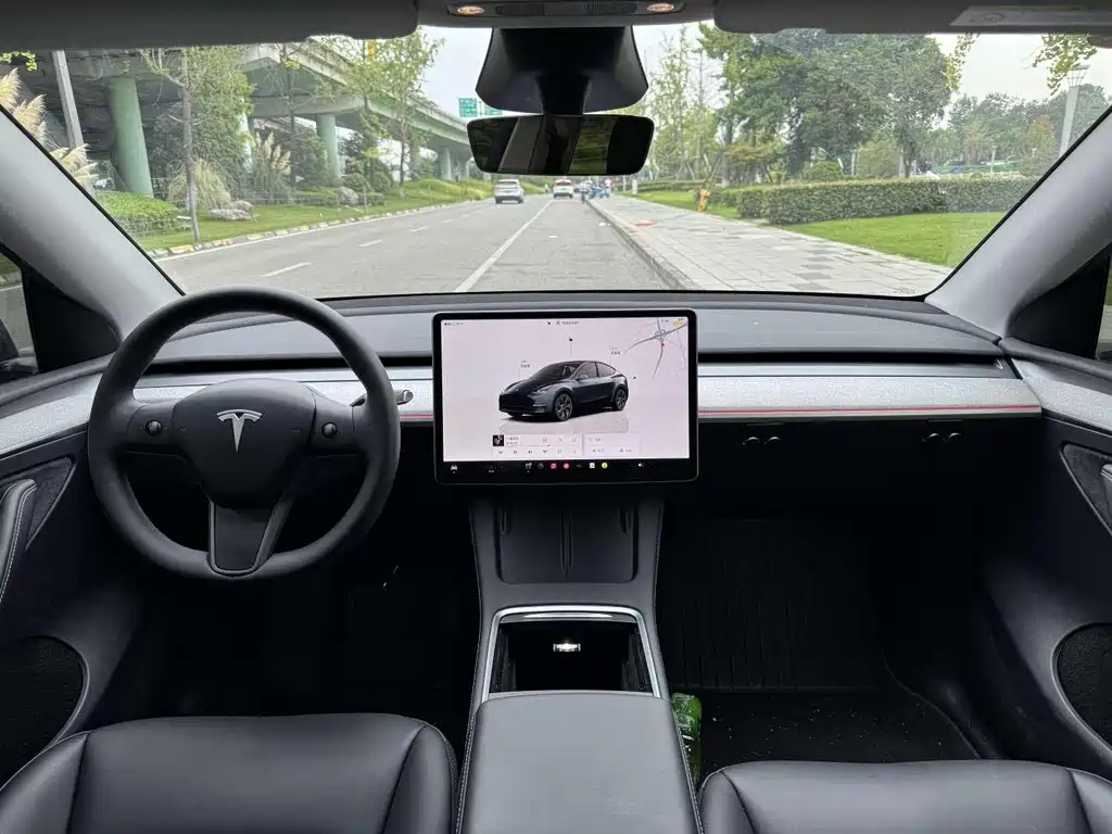 Tesla Model Y — миниатюра 5