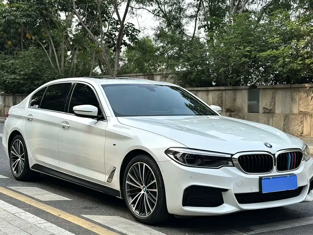 BMW 5 Series 5 2020 530Li Lead M Sport
