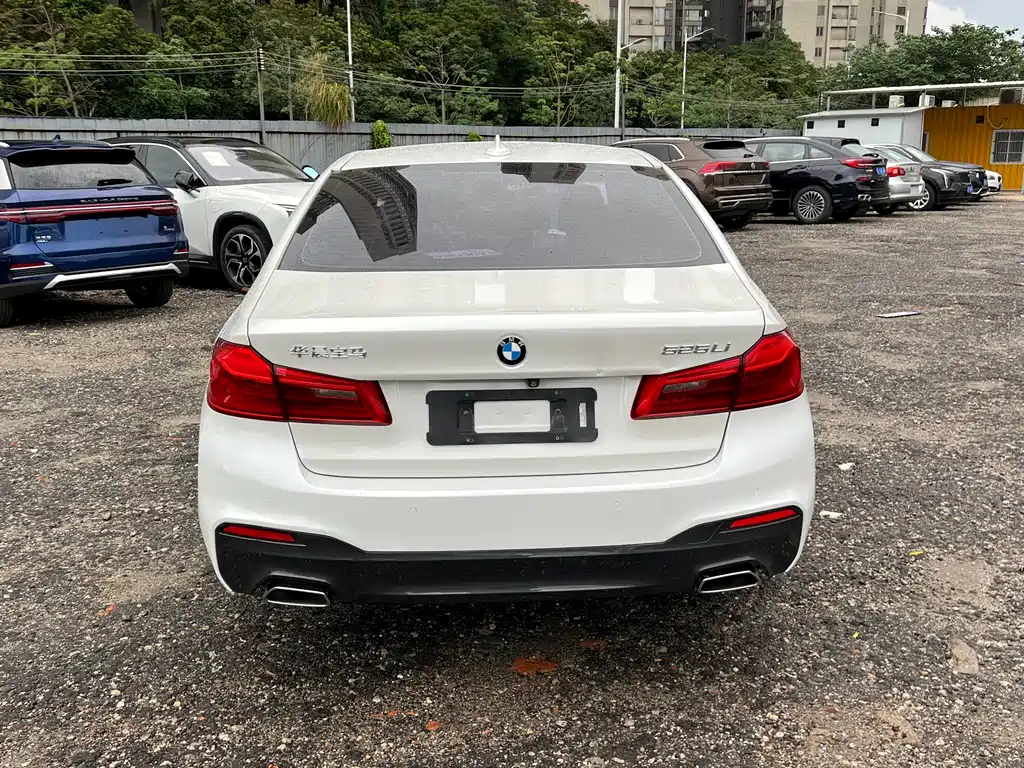BMW 5 Series 5 2019 525Li M Sport