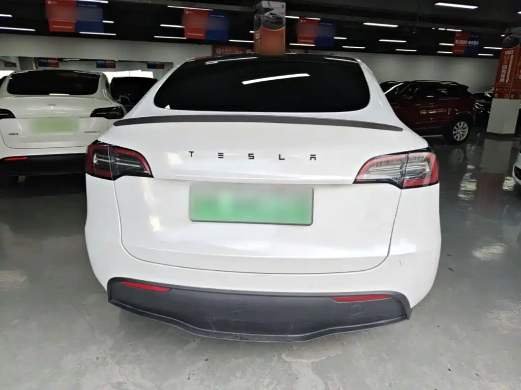 Tesla Model Y — миниатюра 6