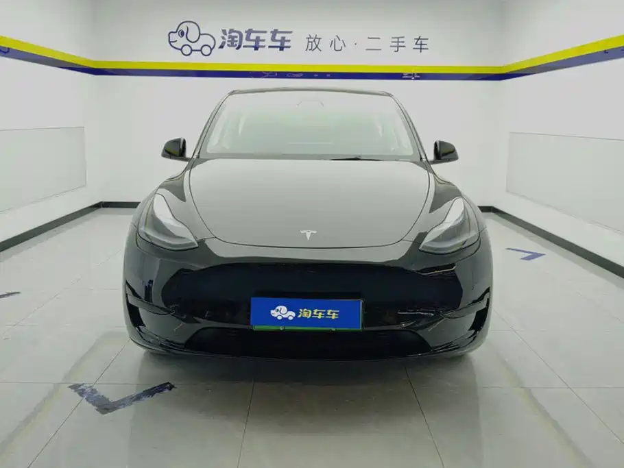 Tesla Model Y — миниатюра 2