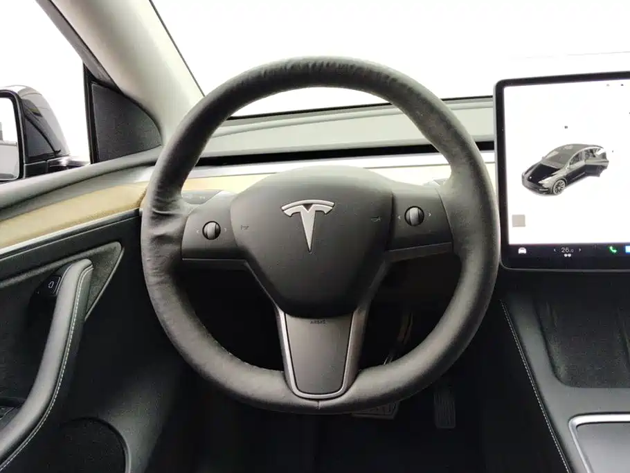 Tesla Model Y — миниатюра 15