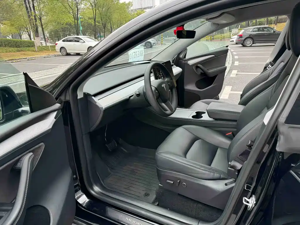 Tesla Model Y — миниатюра 4