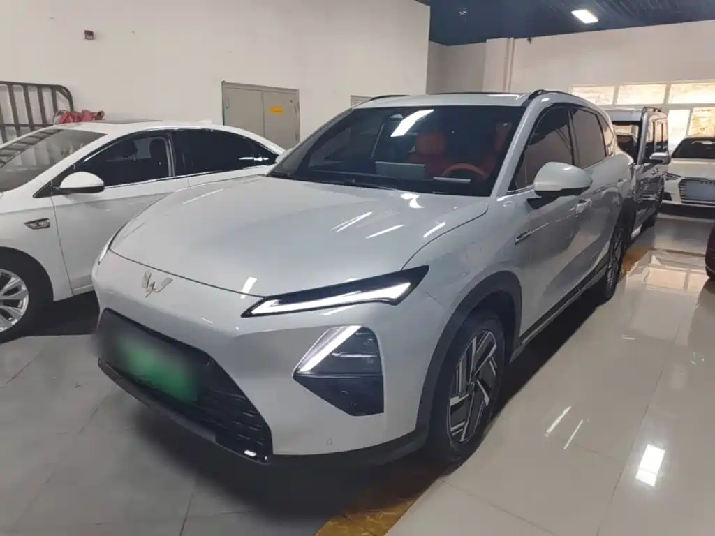 Wuling S 2025 130km Flagship