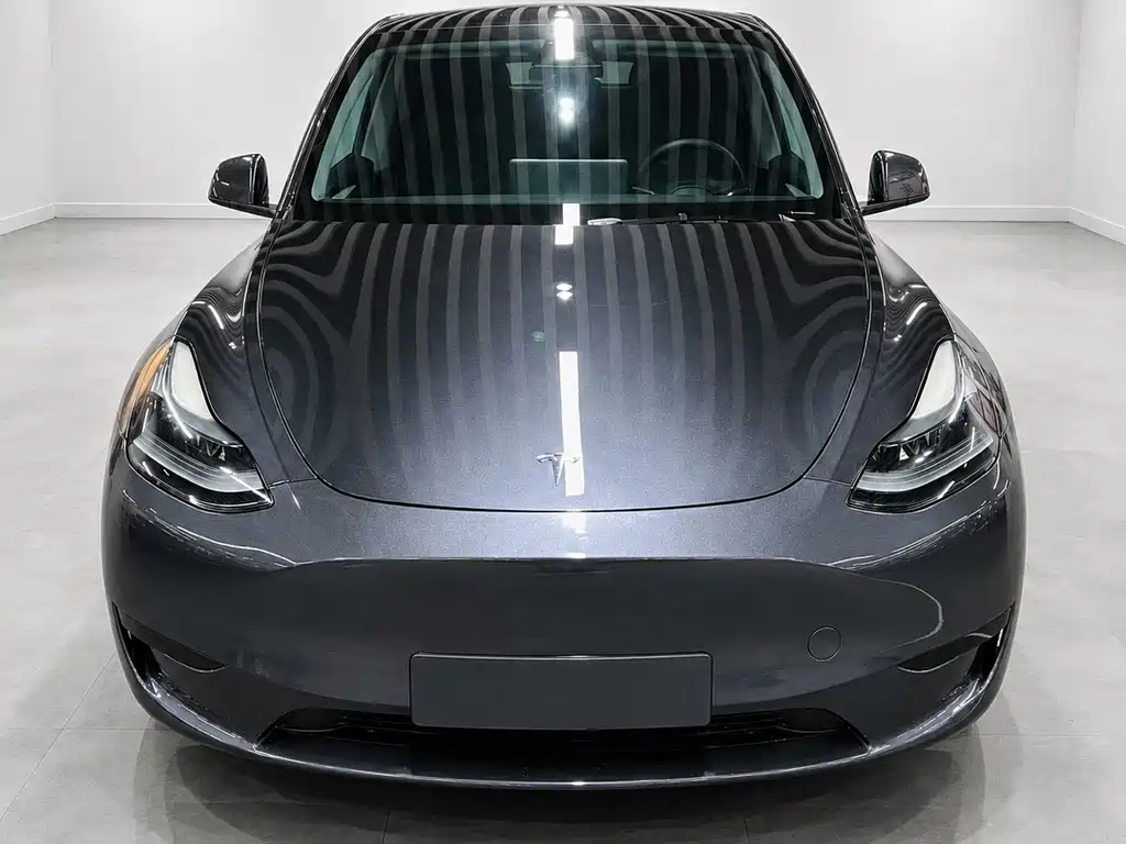 Tesla Model Y — миниатюра 3