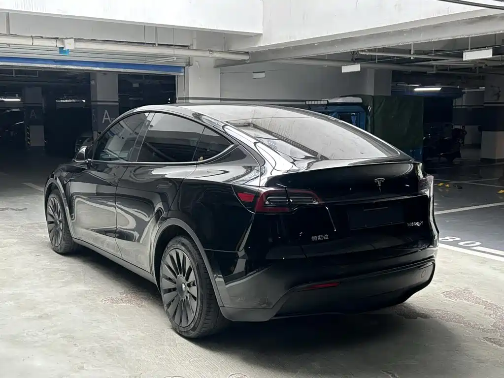 Tesla Model Y — миниатюра 7