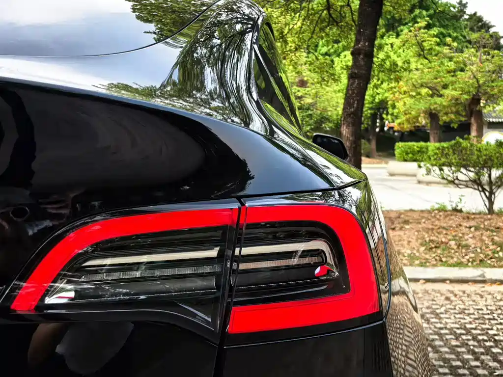 Tesla Model Y — миниатюра 5
