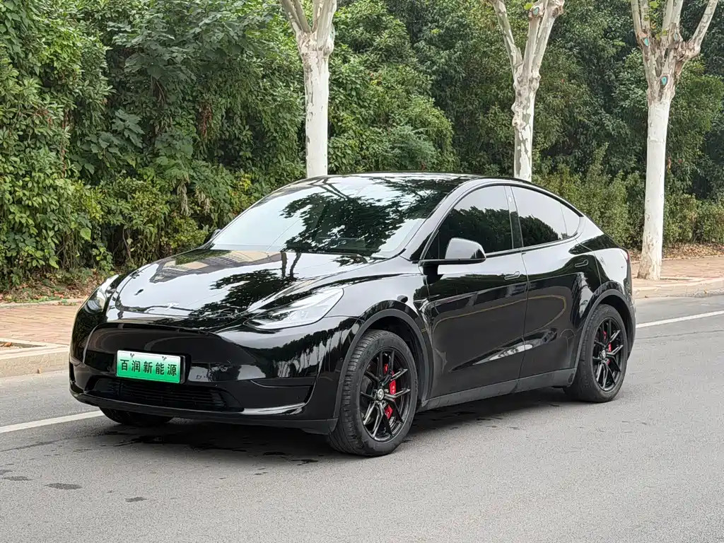 Tesla Model Y — миниатюра 3