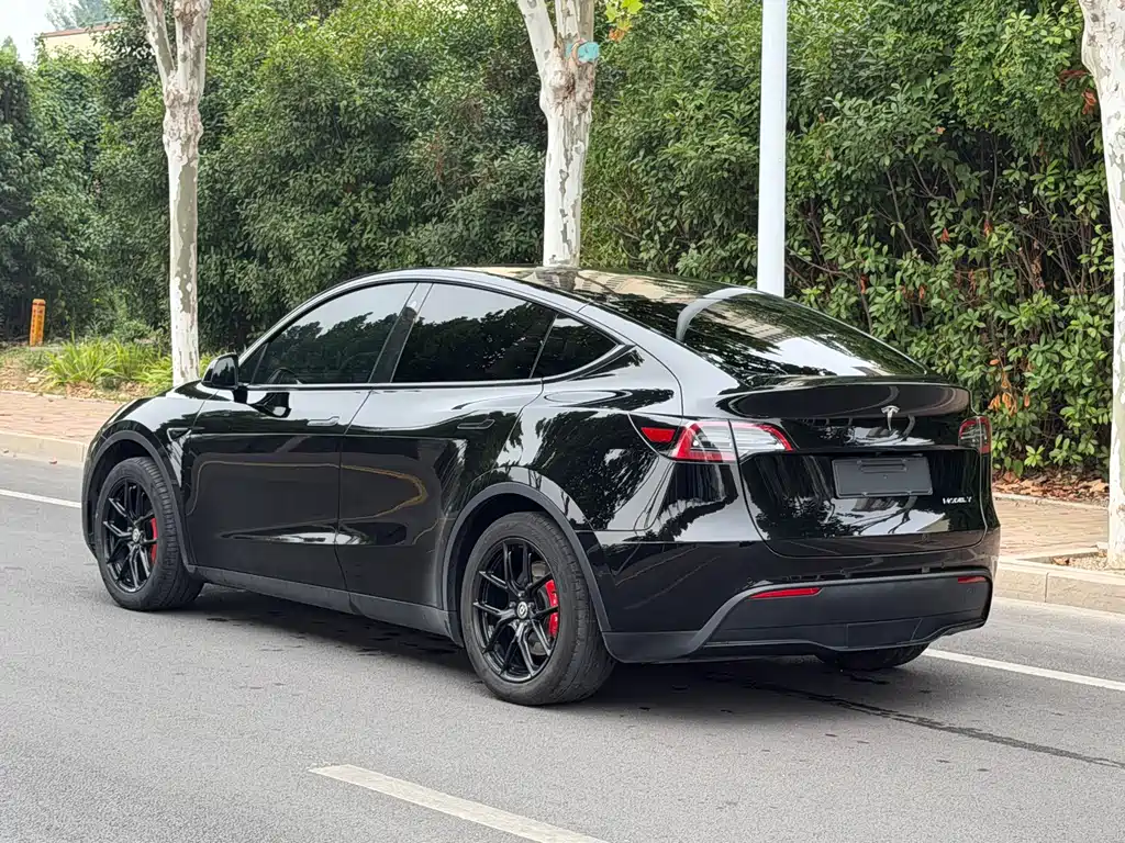Tesla Model Y — миниатюра 5