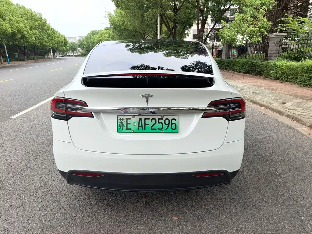 Tesla Model X — миниатюра 11