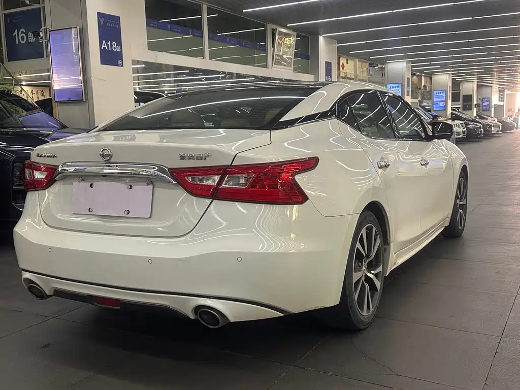 Nissan Cima — миниатюра 11