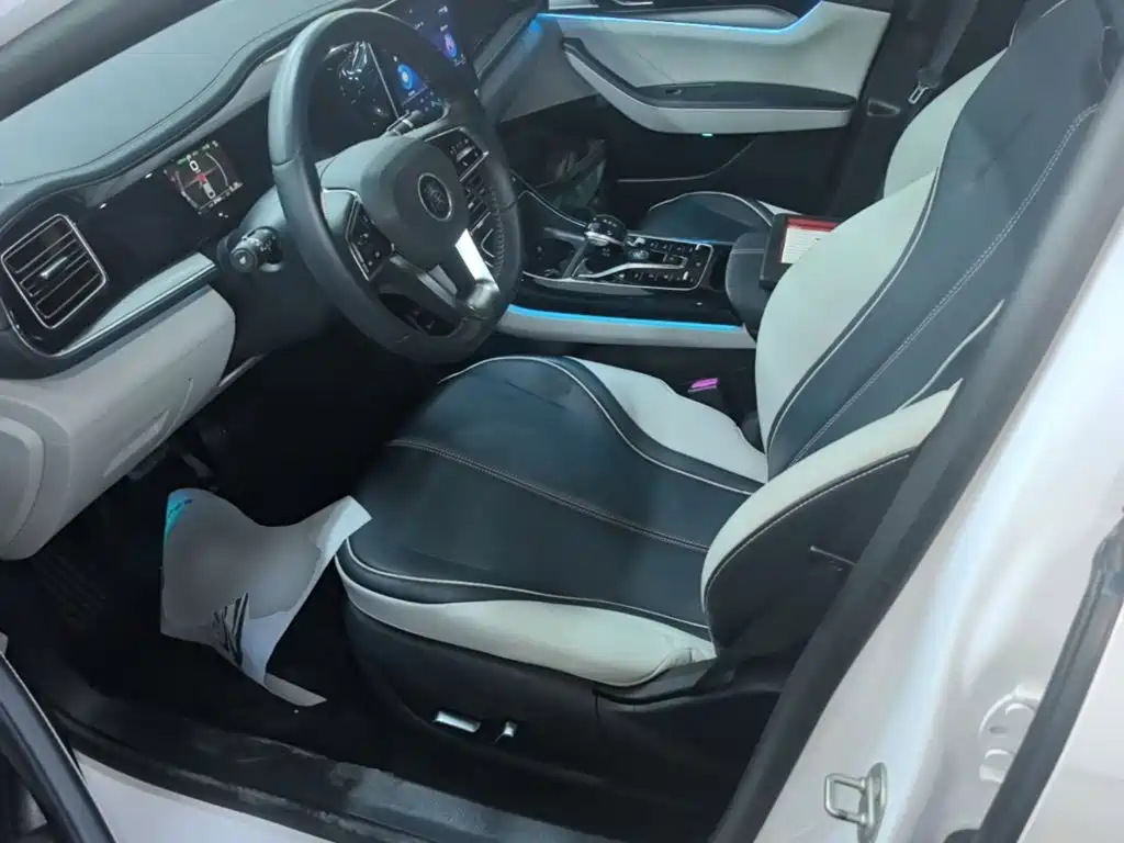 BYD Qin PLUS — миниатюра 15