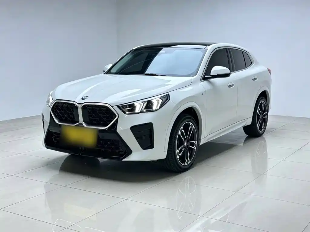 BMW X2 (Import) — миниатюра 2