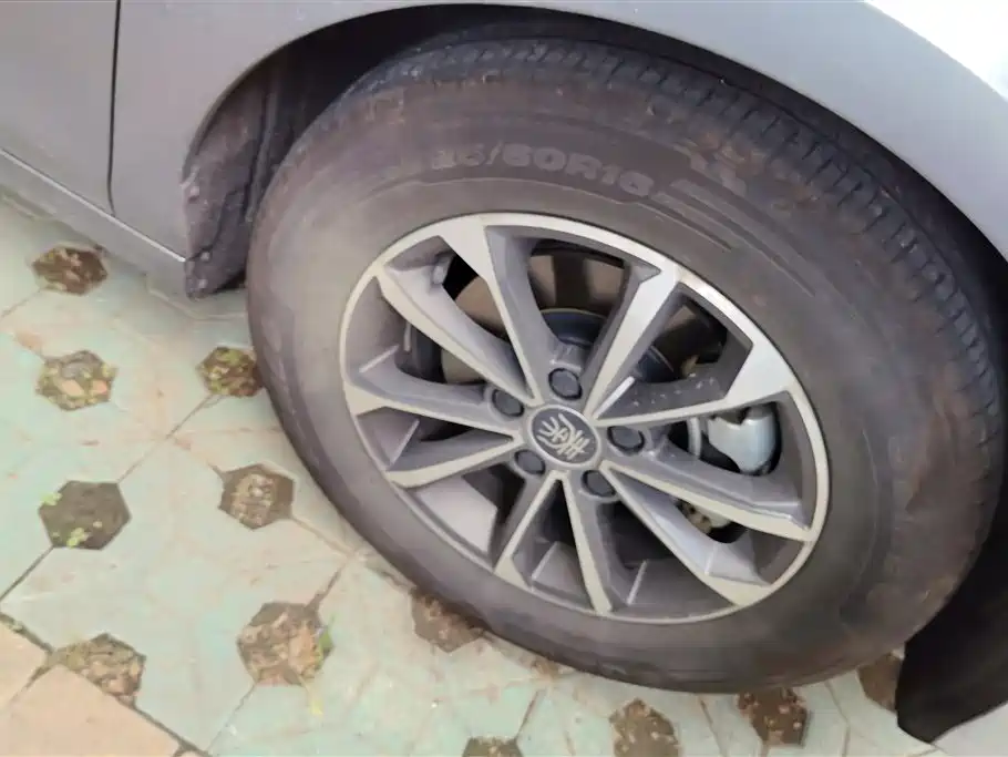 BYD Qin Plus PLUS 2024 DM-i 55KM Lead
