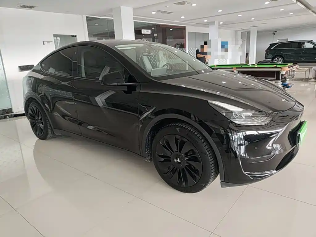 Tesla Model Y — миниатюра 4