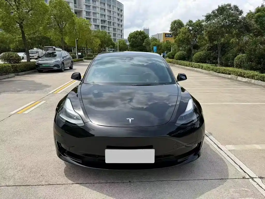 Tesla Model 3 — миниатюра 2