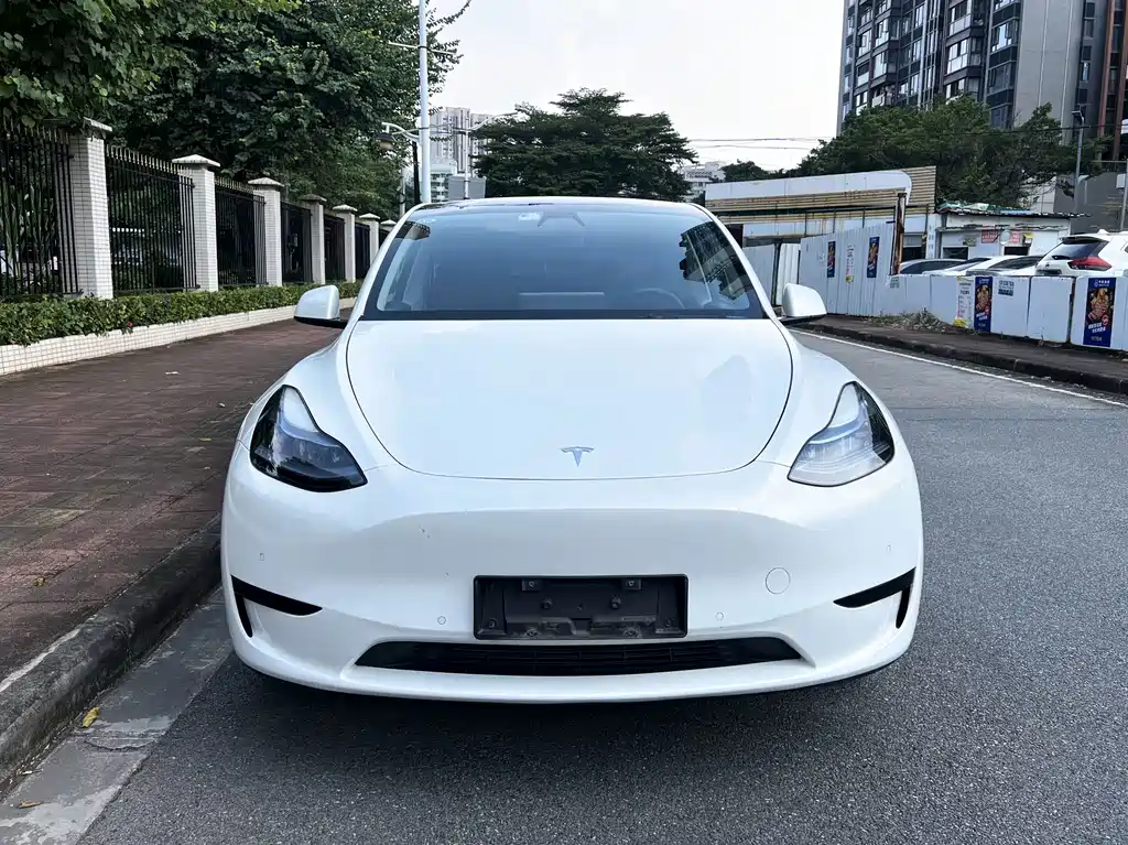 Tesla Model Y — миниатюра 2
