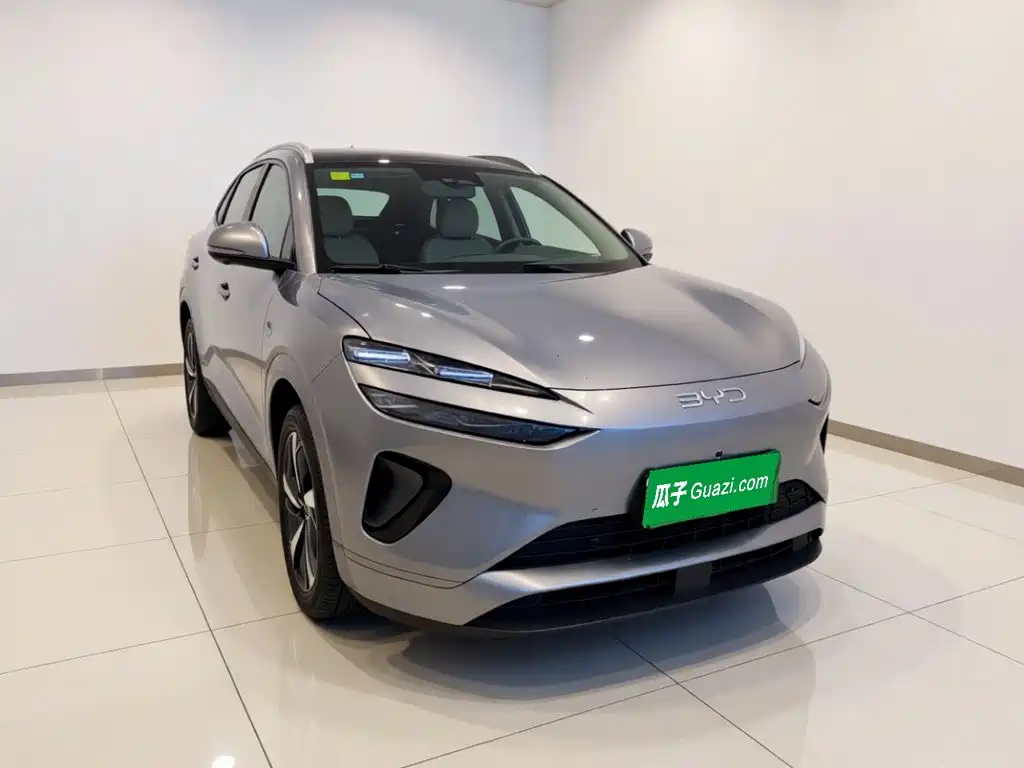 BYD Sealion 06 — миниатюра 3