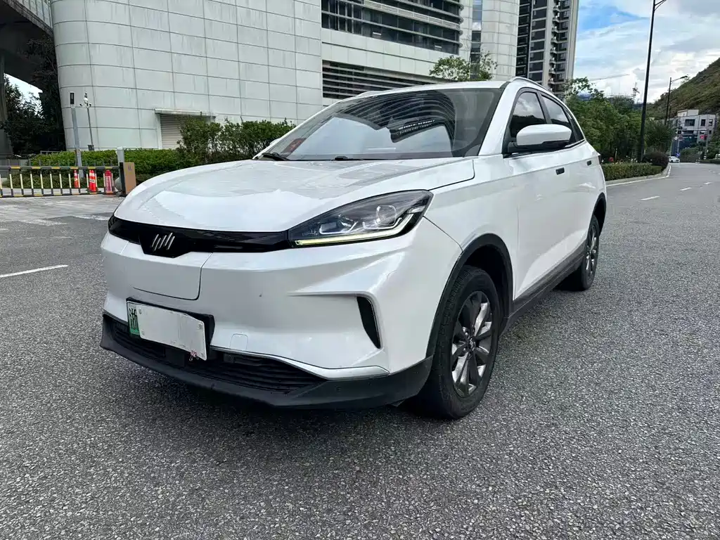 WM Motor EX5