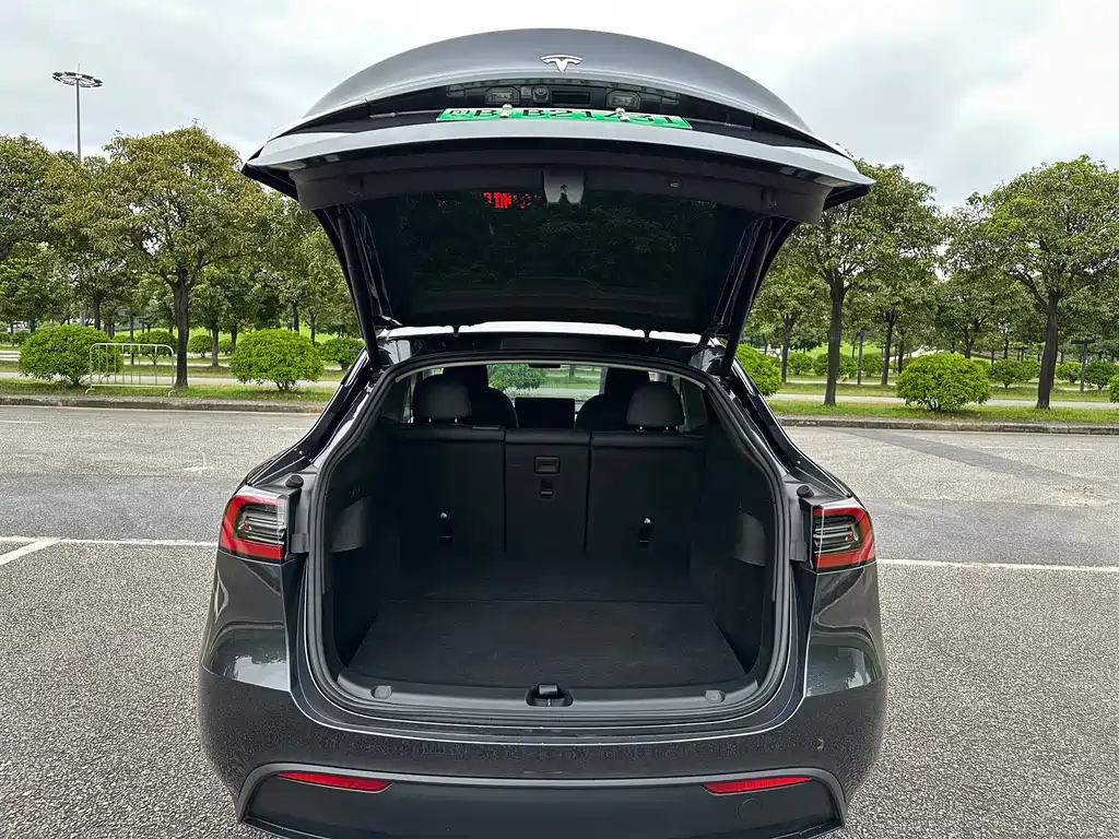 Tesla Model Y — миниатюра 18