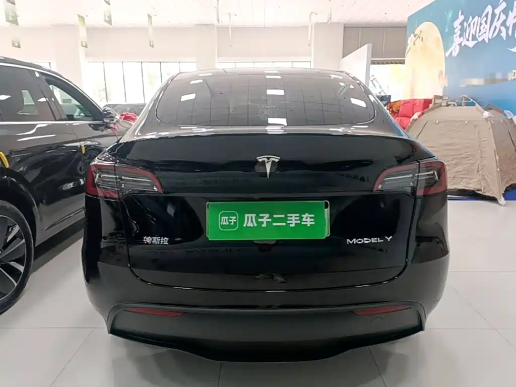 Tesla Model Y — миниатюра 6