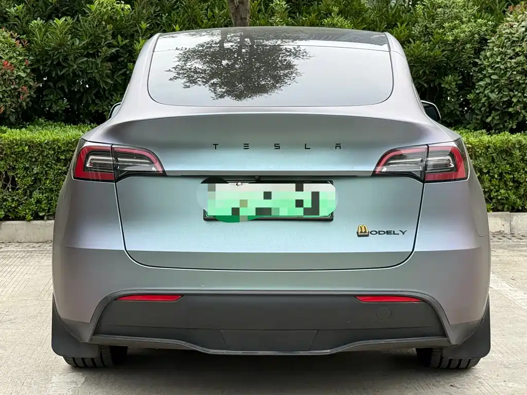 Tesla Model Y — миниатюра 4