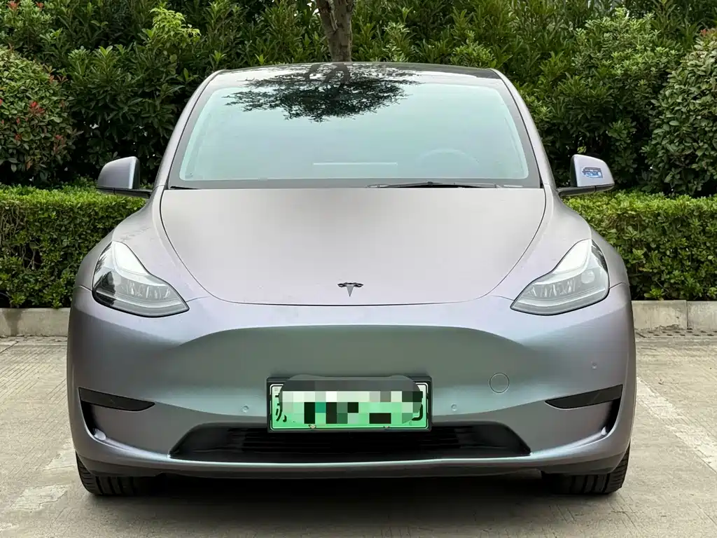 Tesla Model Y — миниатюра 2